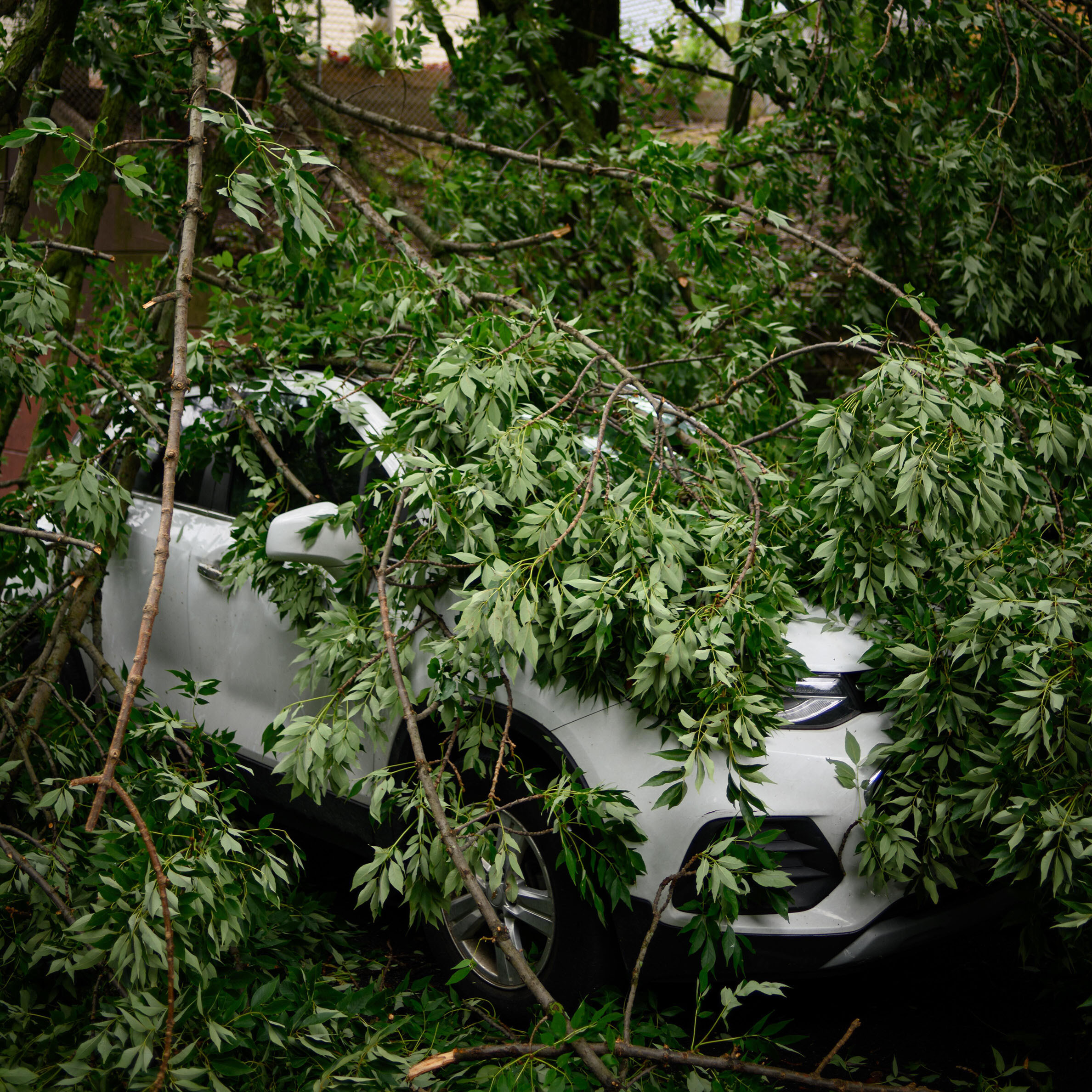 what happens if you crash a rental car
