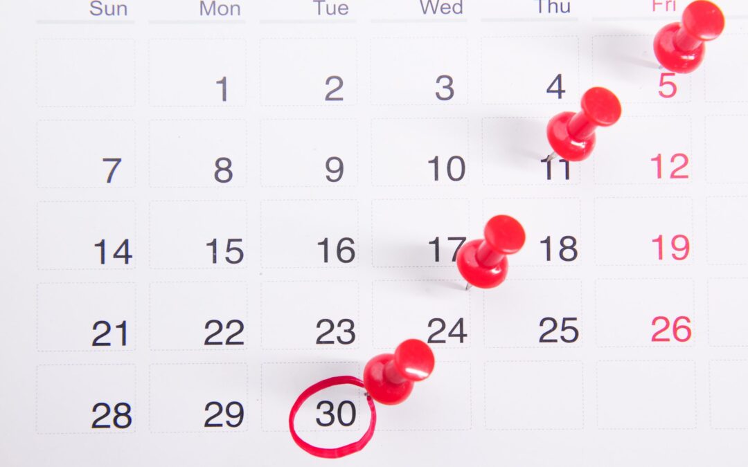 How Much to Rent a Car for a Month?